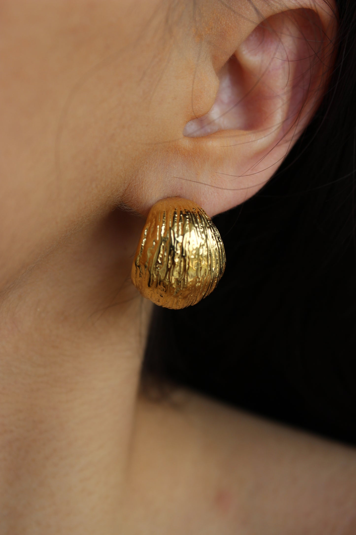 Brincos Argolas Trabalhadas | Dourado