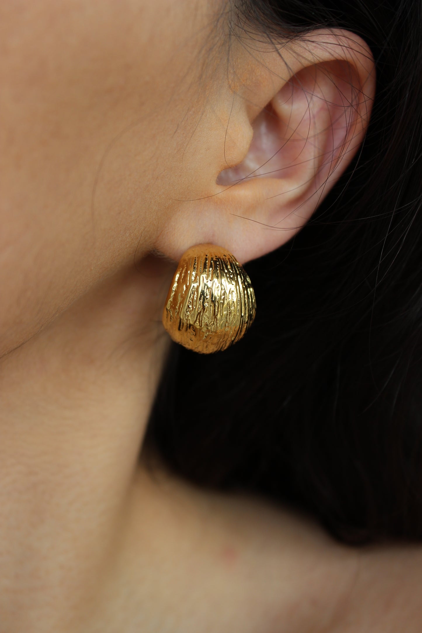 Brincos Argolas Trabalhadas | Dourado